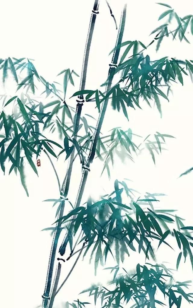 西红柿补硒行吗(富硒西红柿)-硒宝网