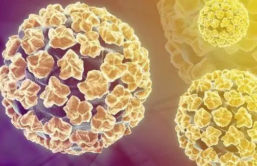 补硒防止hpv（补硒能去除hpv病毒吗）-硒宝网