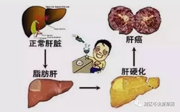 乙肝 补硒 量(乙肝补硒有什么副作用)-硒宝网