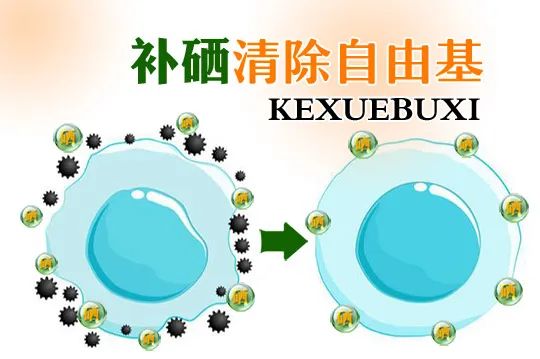 乙肝 补硒 量（乙肝补硒自愈）-硒宝网
