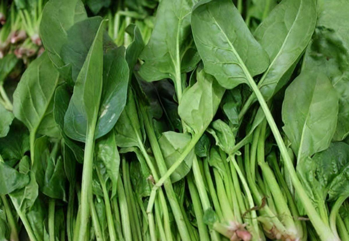 氨糖补钙吗（补钙氨糖哪种效果好）-硒宝网