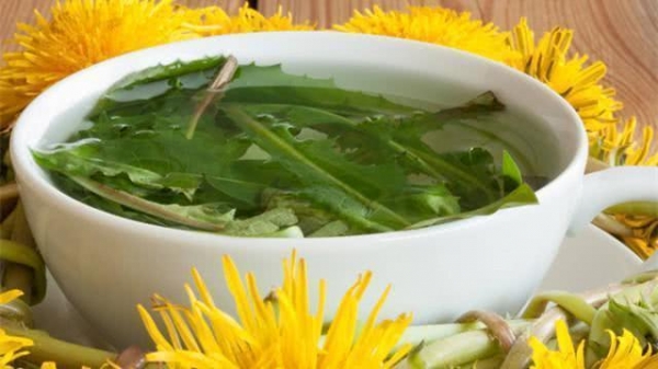 蒲公英怎么补硒(硒倍蒲公英)-硒宝网