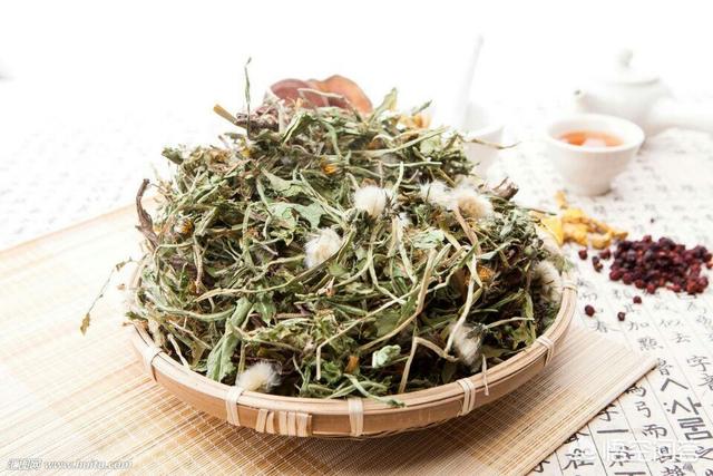 蒲公英怎么补硒(硒倍蒲公英)-硒宝网