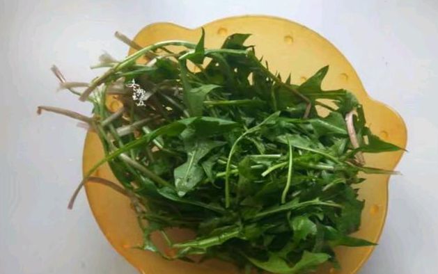 蒲公英怎么补硒(硒倍蒲公英)-硒宝网