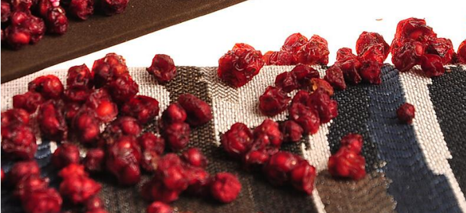 乙肝需要 补硒（乙肝补硒有什么副作用）-硒宝网