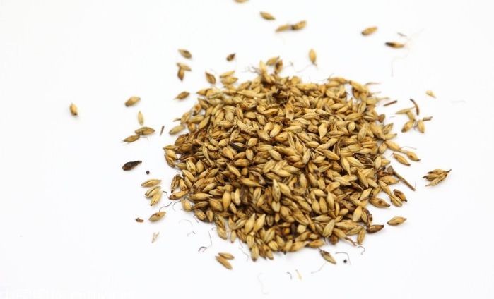 乙肝需要 补硒（乙肝补硒有什么副作用）-硒宝网