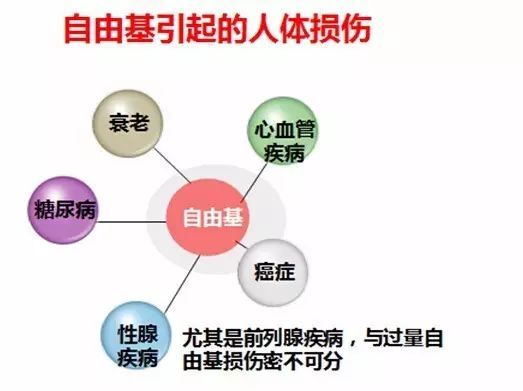 补硒与谷胱甘肽（补谷胱甘肽硒的功效）-硒宝网