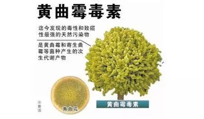 补硒与谷胱甘肽（补谷胱甘肽硒的功效）-硒宝网