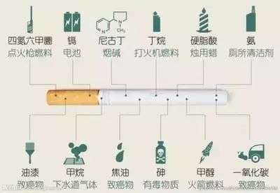 补硒与谷胱甘肽（补谷胱甘肽硒的功效）-硒宝网