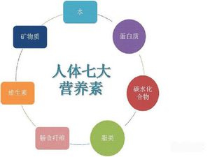 补硒补维生素d（补维生素硒会发胖吗）-硒宝网