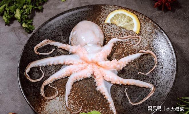 补铁可以改善气血不足么（气血不足补铁剂可以吗）-硒宝网