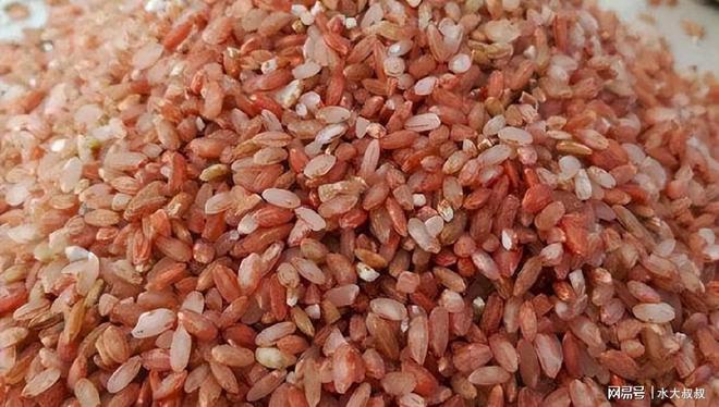 补铁可以改善气血不足么（气血不足补铁剂可以吗）-硒宝网