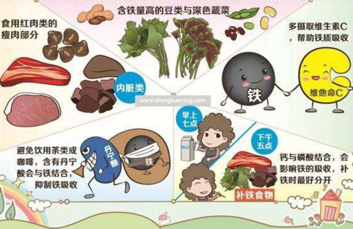 怀孕几个月开始补铁(怀孕补铁补到几个月)-硒宝网