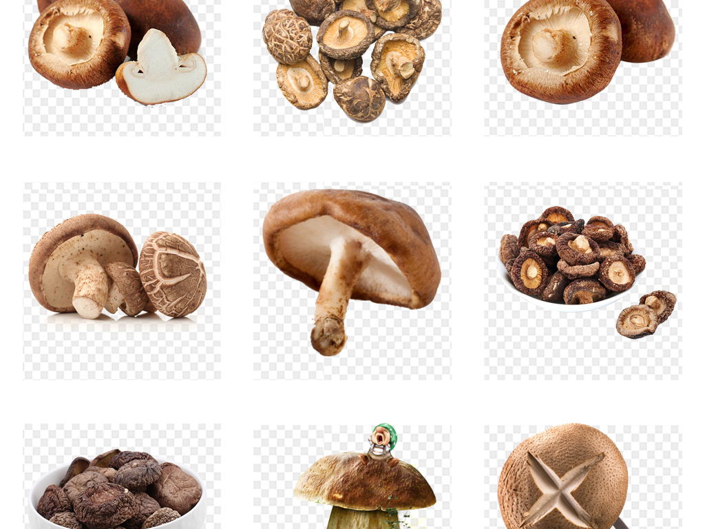 硒 元素怎么补(补充硒元素的最好的药品)-硒宝网