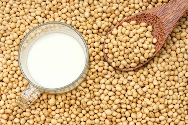 豆奶补钙吗(补钙豆奶粉好还是豆浆粉好)-硒宝网