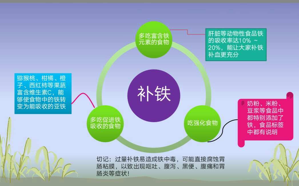 补硒和补铁食物（补铁硒的食物）-硒宝网
