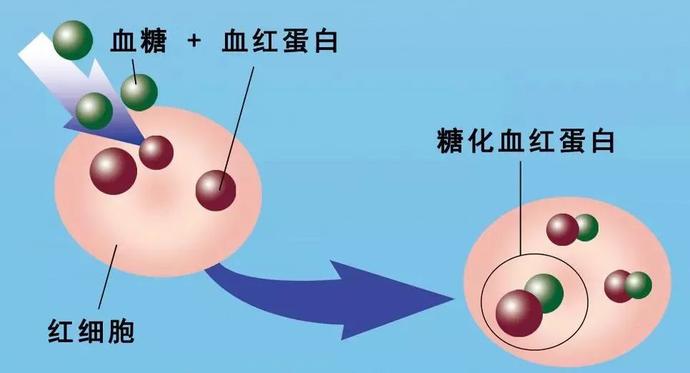 白癜风能补硒吗（如何补硒d.吃高吉星蛋白硒好）-硒宝网