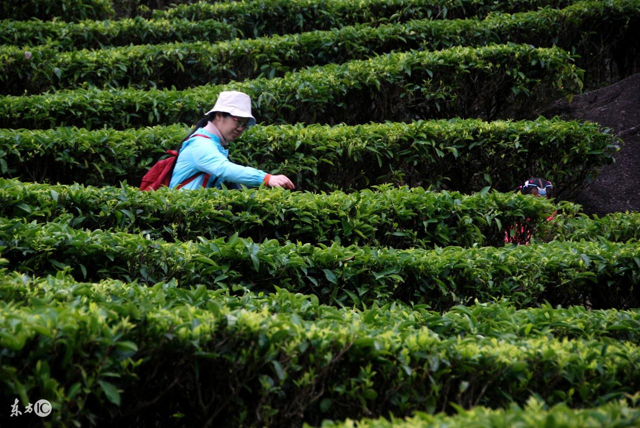 哮喘患者补硒量(哮喘补患者量硒多少克)-硒宝网