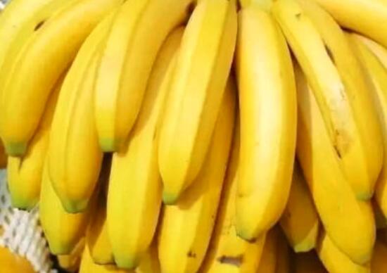 补硒和补铁食物（补食物补铁硒元素好吗）-硒宝网