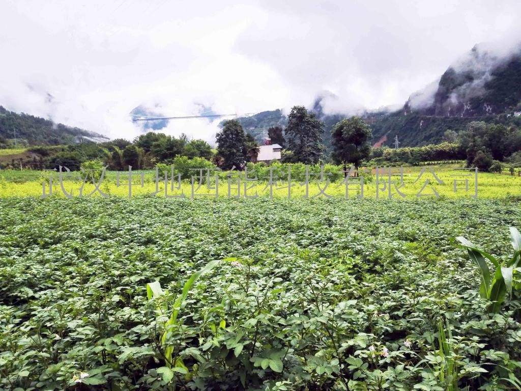恩施补硒看什么(恩施的硒片好不好)-硒宝网