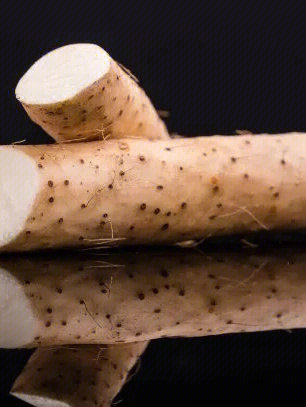 山药补铁吗(山药补铁吗知乎)-硒宝网