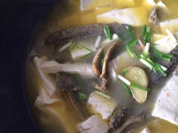 喝豆浆可以补钙吗(豆浆喝补钙可以长高吗)-硒宝网