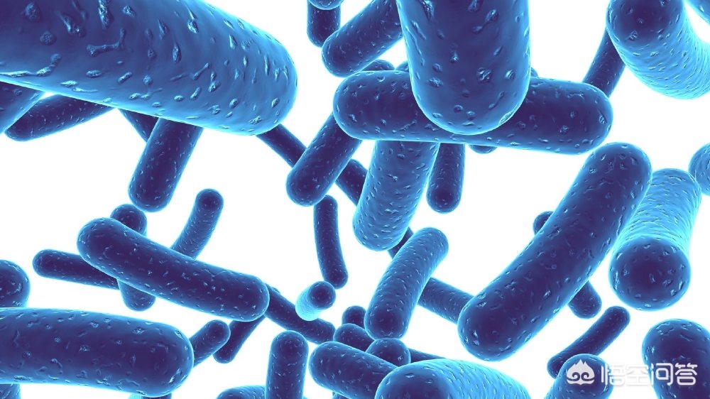 维生素d可以补钙吗（钙片能补维生素d吗）-硒宝网