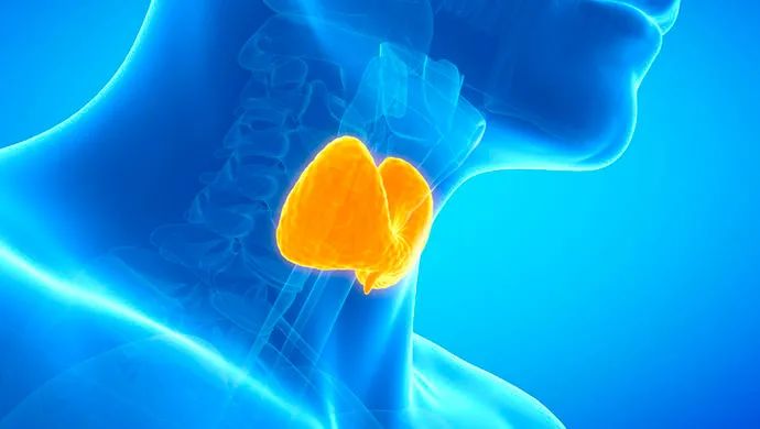 补硒甲状腺全切（甲状腺疾病补硒）-硒宝网