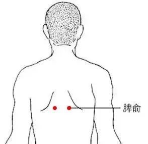 什么穴位能补硒(补硒能治病吗)-硒宝网