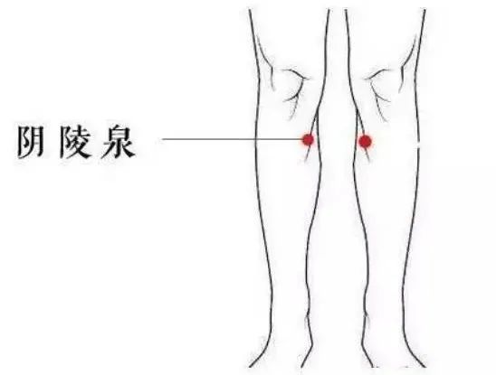 什么穴位能补硒(补硒能治病吗)-硒宝网