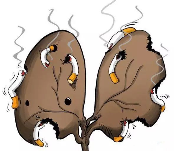 癌症为什么补硒(癌症补硒买哪种硒最好)-硒宝网