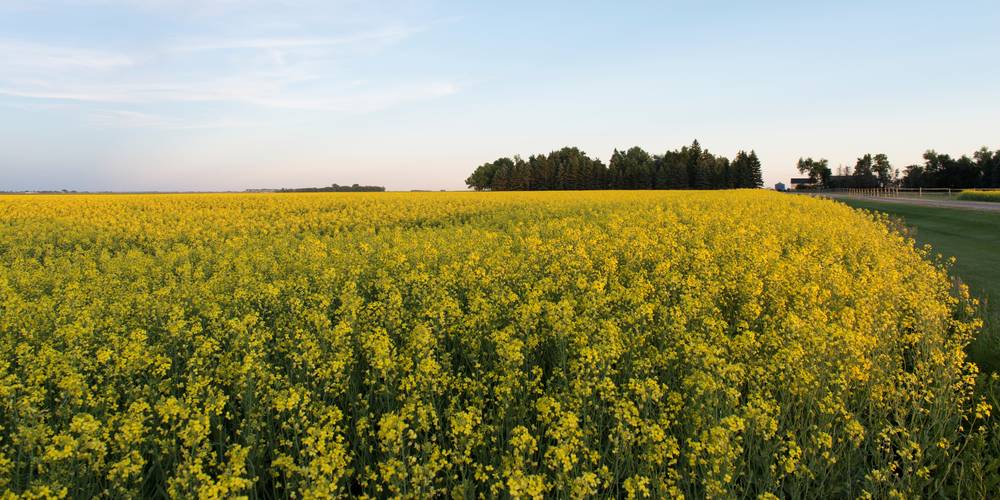 硒元素补多白带(补充硒元素)-硒宝网