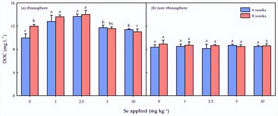 硒元素补多白带(补充硒元素)-硒宝网