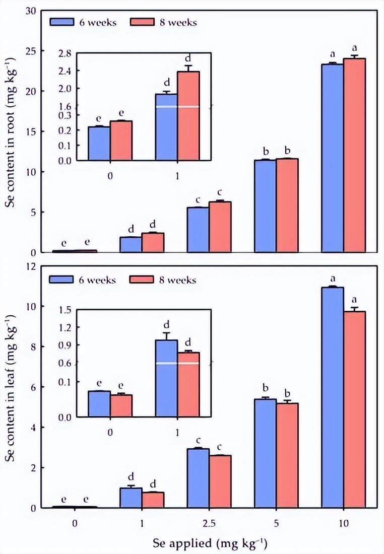 硒元素补多白带(补充硒元素)-硒宝网