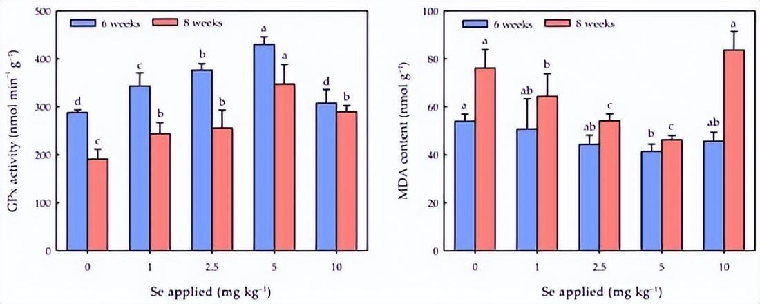 硒元素补多白带(补充硒元素)-硒宝网