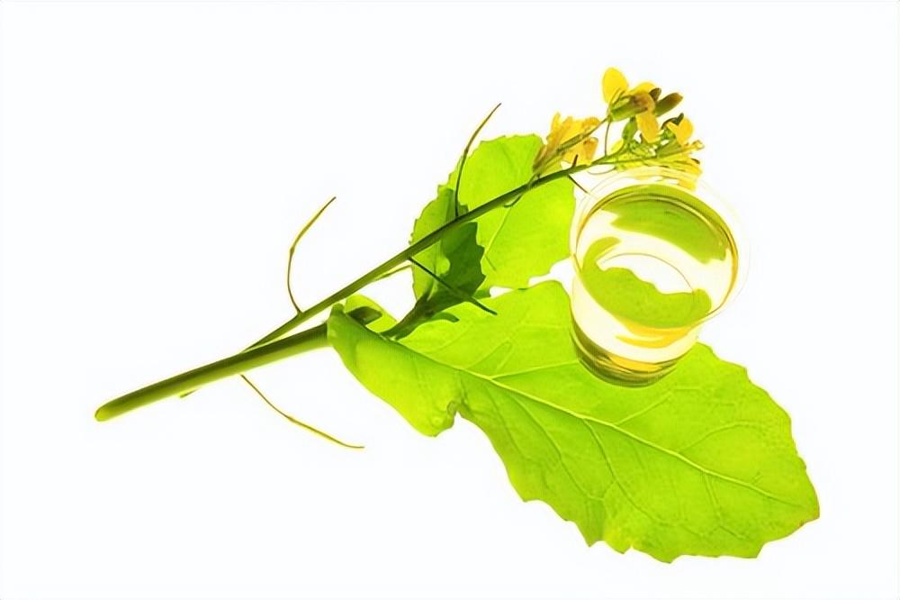 硒元素补多白带(补充硒元素)-硒宝网