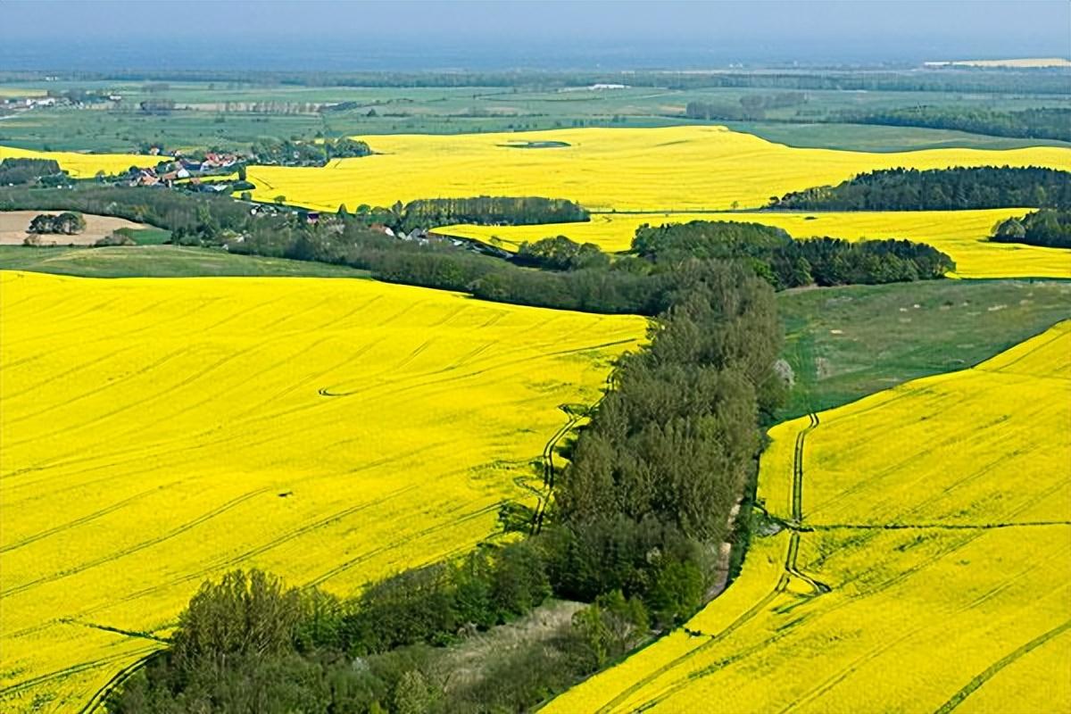 硒元素补多白带(补充硒元素)-硒宝网