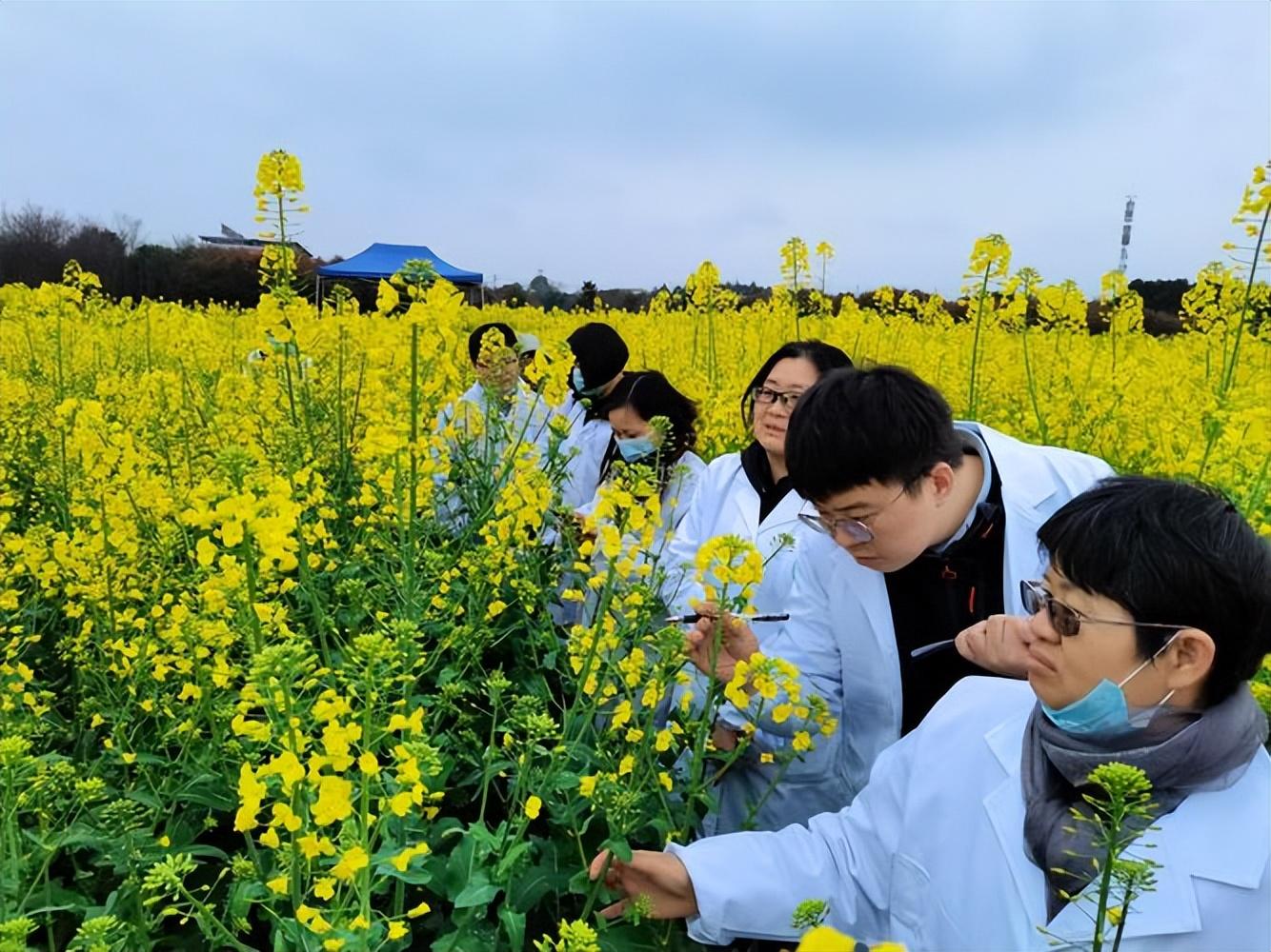 硒元素补多白带(补充硒元素)-硒宝网