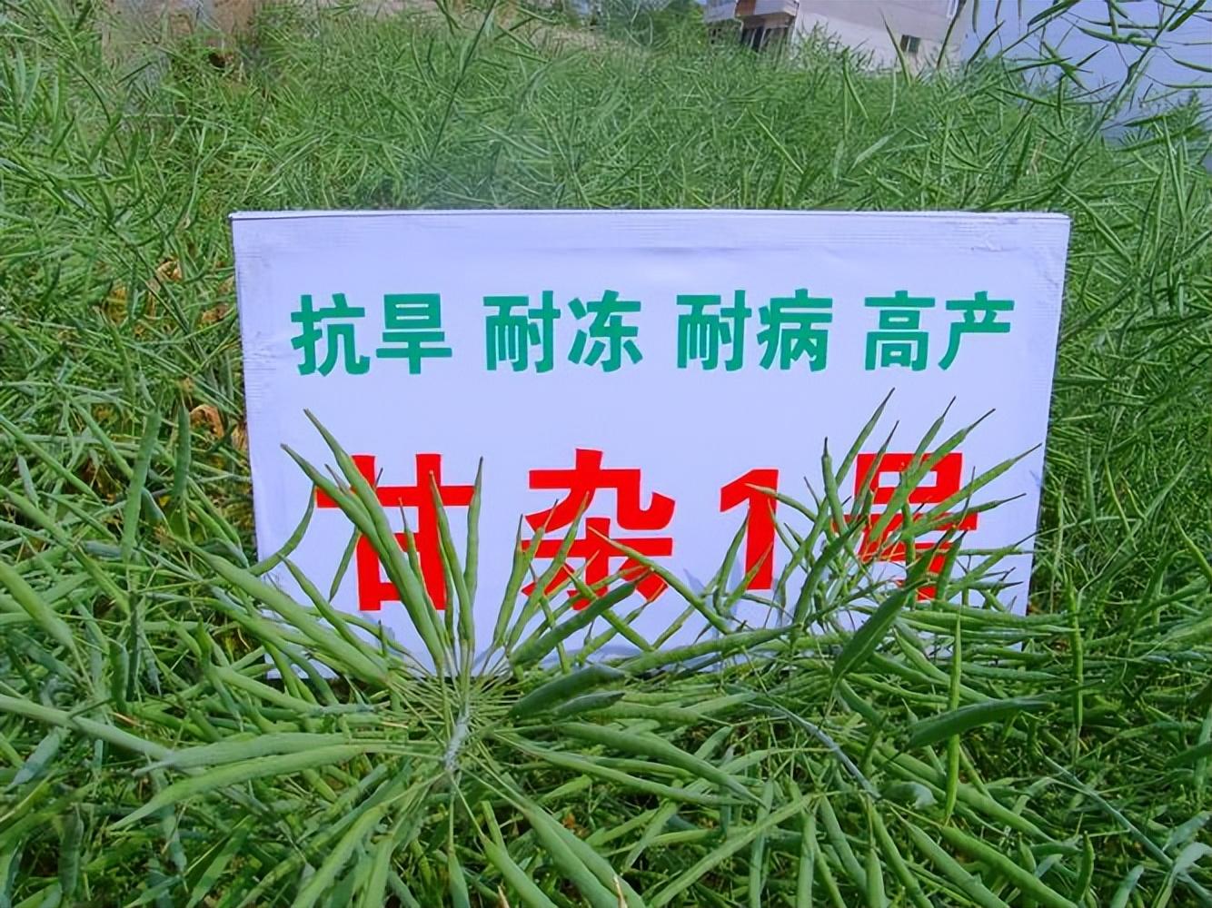 硒元素补多白带(补充硒元素)-硒宝网