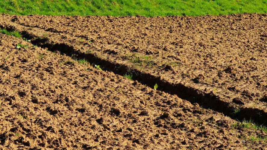 硒元素补多白带(补充硒元素)-硒宝网