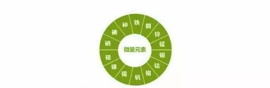 缺微量元素吃什么(缺微量元素吃多种维生素可以吗)-硒宝网