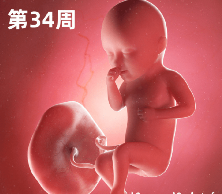 孕晚期怎么补硒(孕妇补硒注意事项)-硒宝网