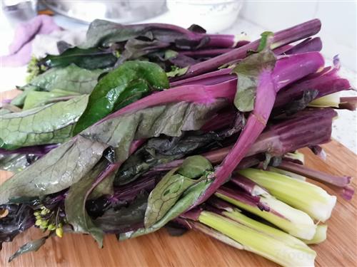 癌症补硒用什么（癌症补硒）-硒宝网