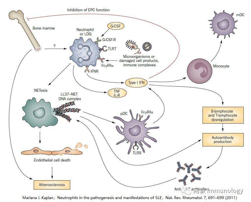 口腔溃疡 补硒(口腔补溃疡硒有用吗)-硒宝网