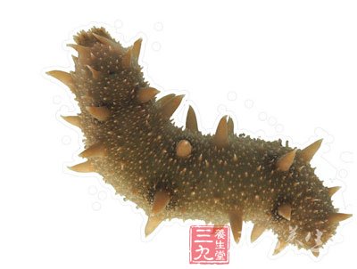 海参能够补硒吗(海参富硒粉什么人都能吃吗)-硒宝网