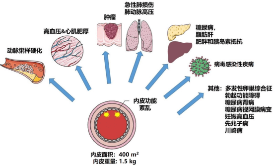 房颤可以补硒吗(房颤可以吃钙片吗)-硒宝网