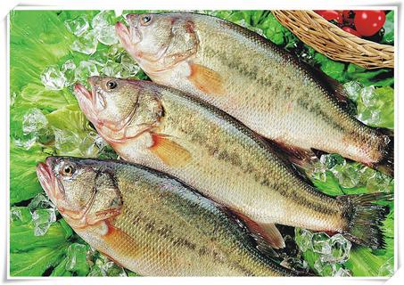 人体补什么硒好（人体补硒的好处）-硒宝网