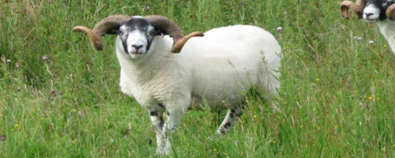 补硒导致体温低（体温补低导致硒低怎么办）-硒宝网