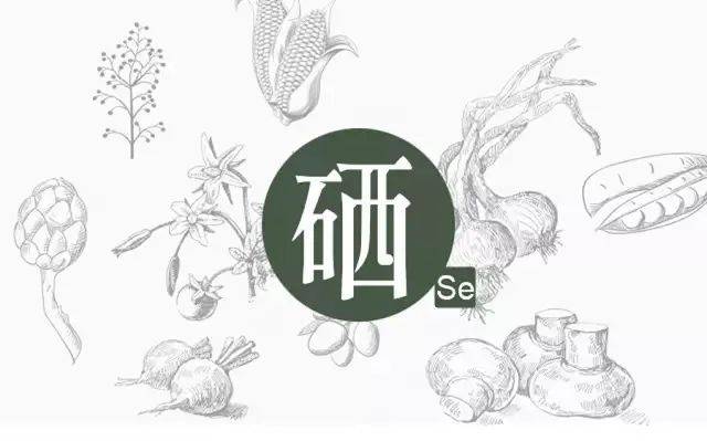 怎样给韭菜补硒（韭菜补补）-硒宝网