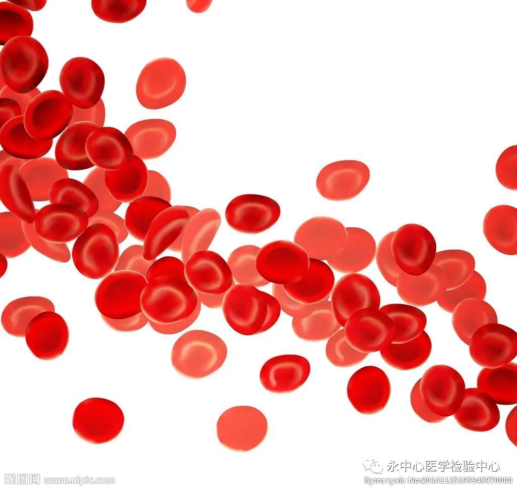 补铁吃什么药最好(吃药补铁快吗)-硒宝网